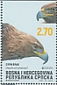 Golden Eagle Aquila chrysaetos