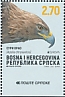 Golden Eagle Aquila chrysaetos