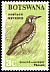 Groundscraper Thrush Turdus litsitsirupa  1967 Birds 