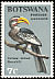Southern Yellow-billed Hornbill Tockus leucomelas  1967 Birds 