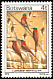 Southern Carmine Bee-eater Merops nubicoides  1978 Birds 