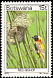 Southern Red Bishop Euplectes orix  1978 Birds 