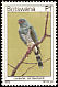 Gabar Goshawk Micronisus gabar  1978 Birds 
