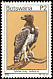 Martial Eagle Polemaetus bellicosus  1978 Birds 