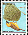 Southern Masked Weaver Ploceus velatus