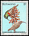 Southern Double-collared Sunbird Cinnyris chalybeus  1982 Birds 