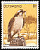 Lanner Falcon Falco biarmicus