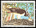 Augur Buzzard Buteo augur  1982 Birds 