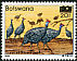 Helmeted Guineafowl Numida meleagris  1987 Surcharge on 1982.01 