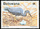 Slaty Egret Egretta vinaceigula  1989 Red-throated Heron 