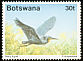 Slaty Egret Egretta vinaceigula  1989 Red-throated Heron 