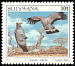 African Harrier-Hawk Polyboroides typus  1997 Birds 