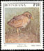 Spotted Crake Porzana porzana  1997 Birds 