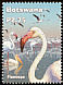 Greater Flamingo Phoenicopterus roseus  2002 Makgadikgadi pans 5v set