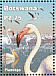 Greater Flamingo Phoenicopterus roseus  2002 Makgadikgadi pans 5v sheet