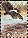 Verreaux's Eagle Aquila verreauxii  2003 Limpopo river 5v set