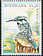 Pied Kingfisher Ceryle rudis