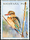 Brown-hooded Kingfisher Halcyon albiventris  2007 Kingfishers 
