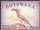 Bradfield's Hornbill Lophoceros bradfieldi
