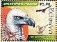 White-backed Vulture Gyps africanus  2015 Vultures Sheet