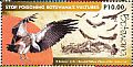Cape Vulture Gyps coprotheres  2015 Vultures Sheet