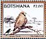 Sociable Weaver Philetairus socius  2018 Kgalagadi biodiversity Sheet