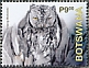 African Scops Owl Otus senegalensis  2020 Owls Sheet