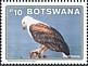 African Fish Eagle Haliaeetus vocifer  2021 Fish Eagle in Botswana Sheet