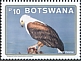 African Fish Eagle Icthyophaga vocifer