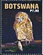 Botswana 2022 Pel's Fishing Owl 