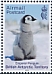 British Antarctic Territory 2023 Emperor Penguin postcard rate 
