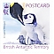 British Antarctic Territory 2023 Emperor Penguin postcard rate, sa 