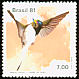 Horned Sungem Heliactin bilophus  1981 Hummingbirds 