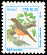 Rufous-bellied Thrush Turdus rufiventris  1994 Birds 