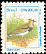 Southern Lapwing Vanellus chilensis  1994 Birds 