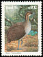 Solitary Tinamou Tinamus solitarius  1995 Preservation of fauna 