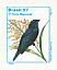 Blue-black Grassquit Volatinia jacarina  1997 Definitives sa