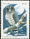 Mottled Owl Strix virgata  2008 Mercosul 