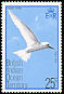 White Tern Gygis alba  1975 Birds 