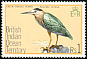 Striated Heron Butorides striata  1975 Birds 