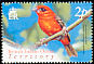 Red Fody Foudia madagascariensis  2004 Birds definitives 