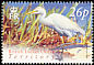Western Cattle Egret Bubulcus ibis  2004 Birds definitives 