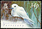 White Tern Gygis alba  2004 Birds definitives 