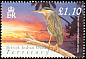 Striated Heron Butorides striata  2004 Birds definitives 