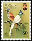 Blyth's Paradise Flycatcher Terpsiphone affinis  1992 Birds 