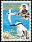Black-naped Tern Sterna sumatrana  1996 Seabirds 