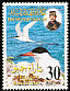 Roseate Tern Sterna dougallii  1996 Seabirds 