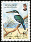 Collared Kingfisher Todiramphus chloris  1998 Kingfishers 