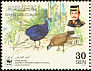 Bulwer's Pheasant Lophura bulweri  2001 WWF 