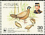 Bulwer's Pheasant Lophura bulweri  2001 WWF 